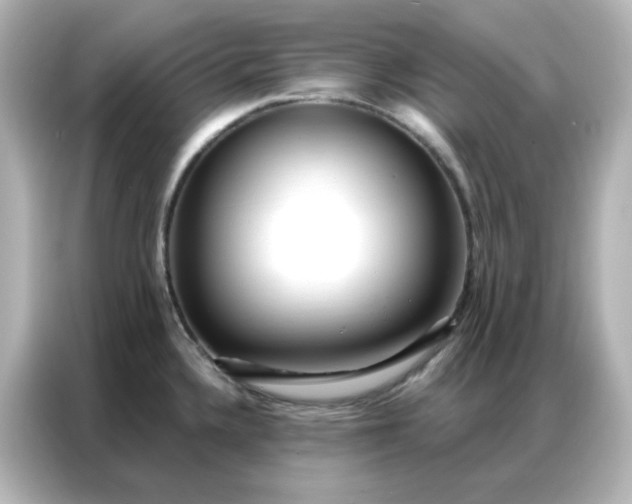 X0000086931336200704301109