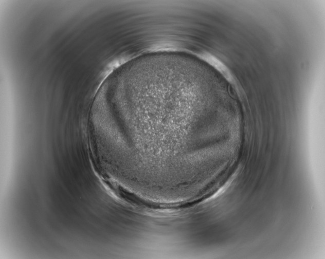 X0000086931337200704301109