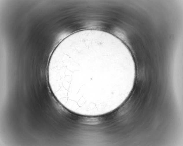 X0000086931338200704301109