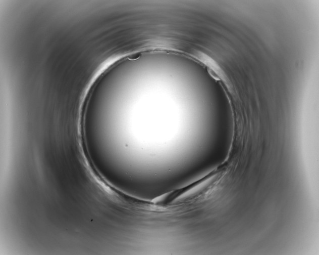 X0000086931339200704301109