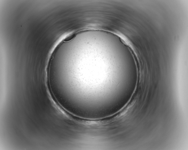 X0000086931341200704301109