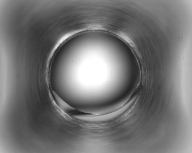 X0000086931342200704301109