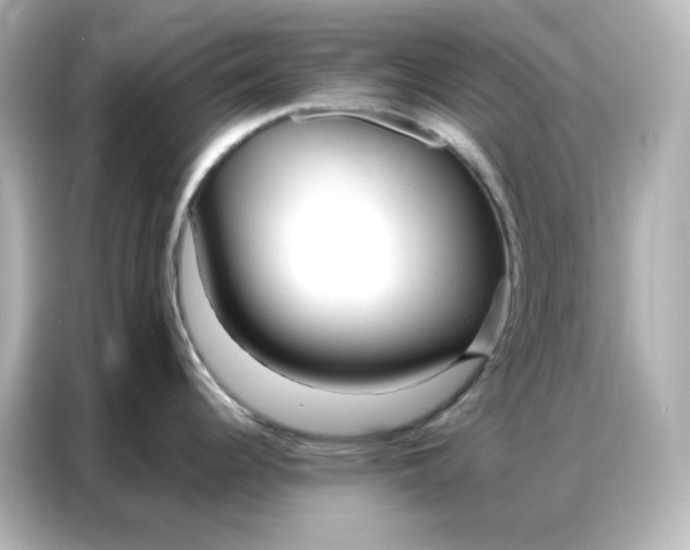 X0000086931344200704301109