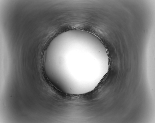 X0000086931345200704301109