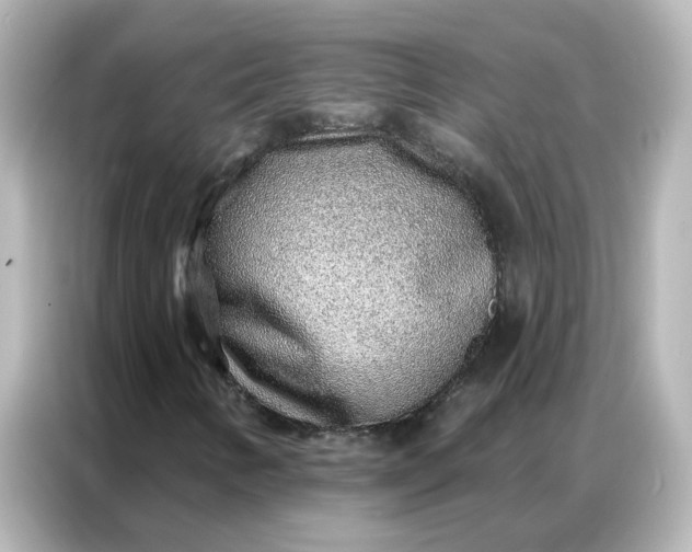 X0000086931346200704301109