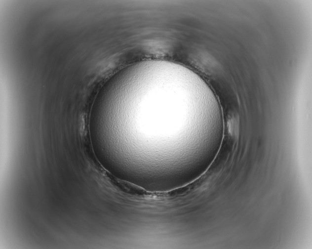 X0000086931347200704301109