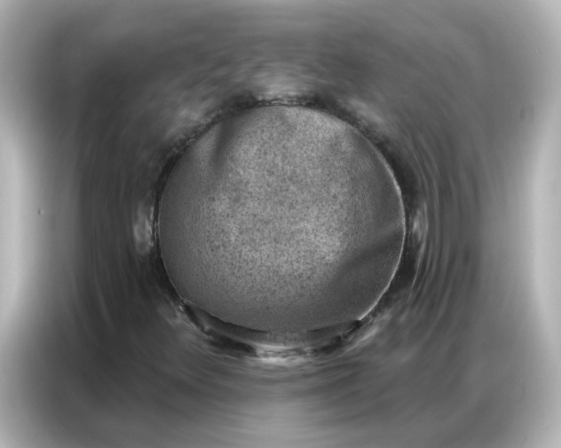 X0000086931348200704301109