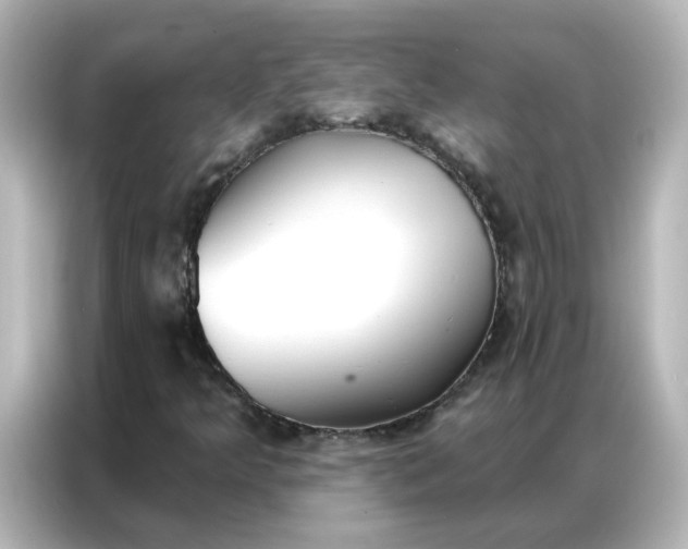 X0000086931349200704301109