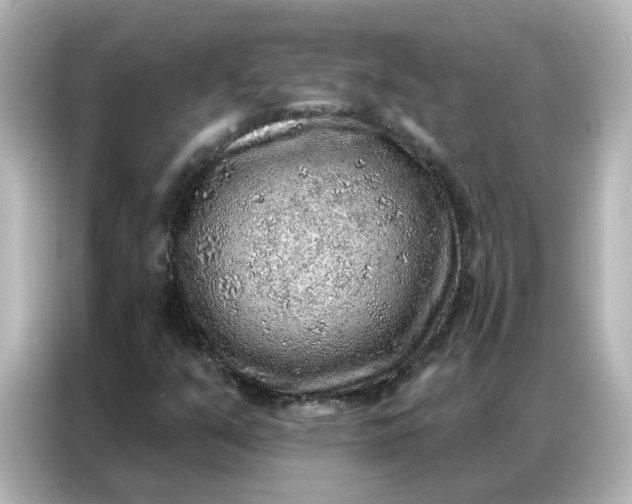 X0000086931351200704301109