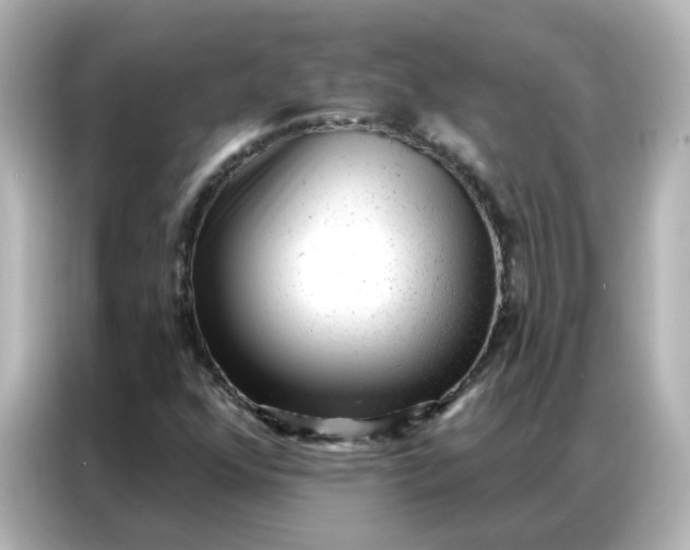 X0000086931352200704301109