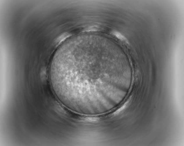 X0000086931353200704301109