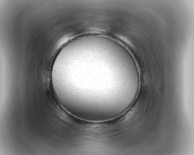 X0000086931355200704301109