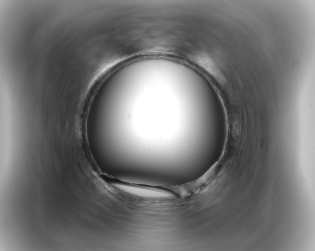 X0000086931356200704301109