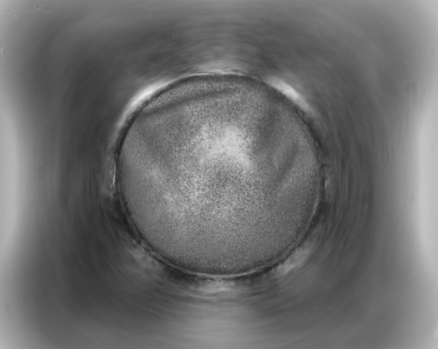 X0000086931358200704301109