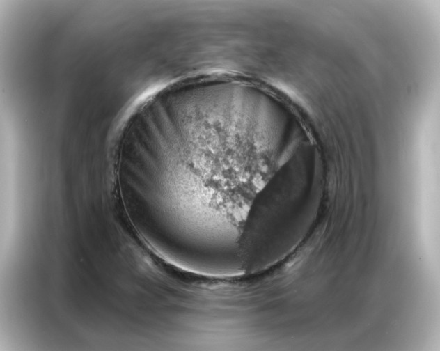 X0000086931359200704301109