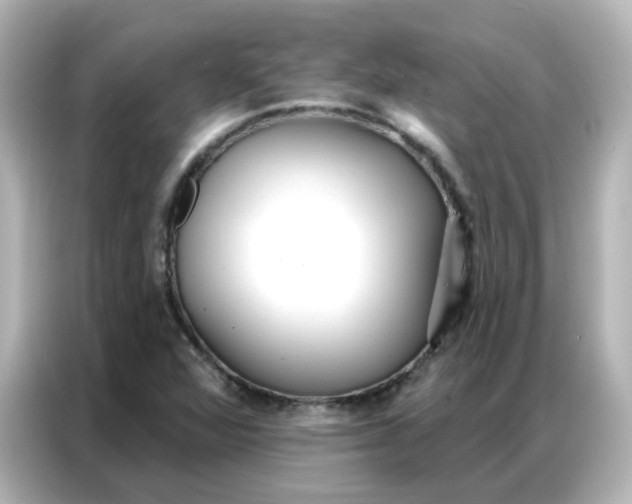 X0000086931360200704301109