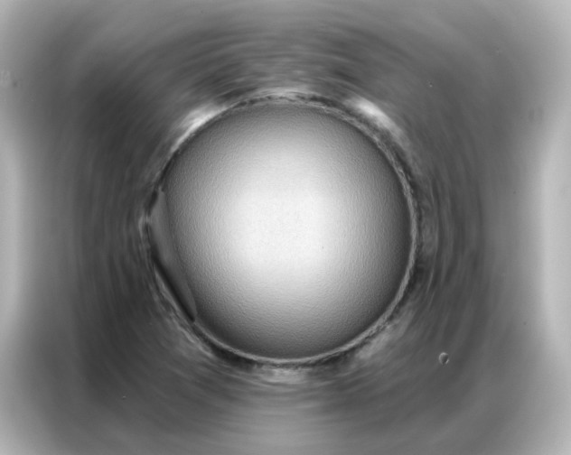 X0000086931361200704301109