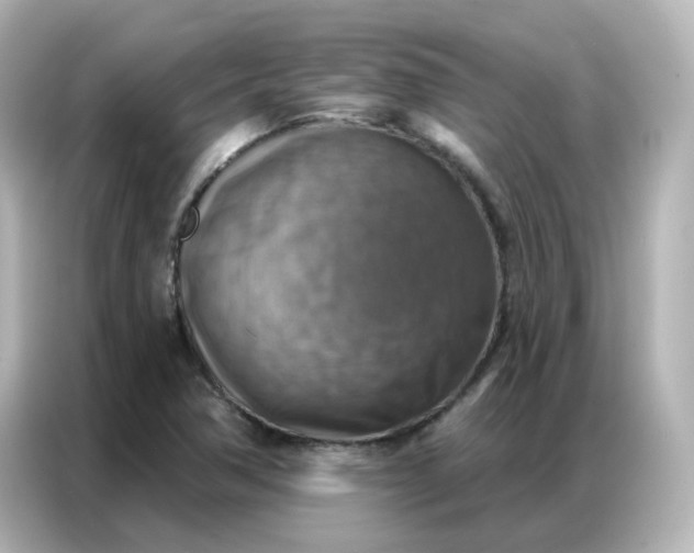 X0000086931362200704301109