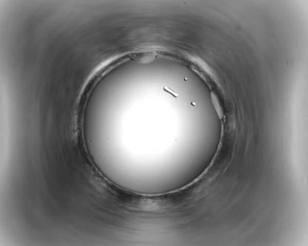 X0000086931364200704301109