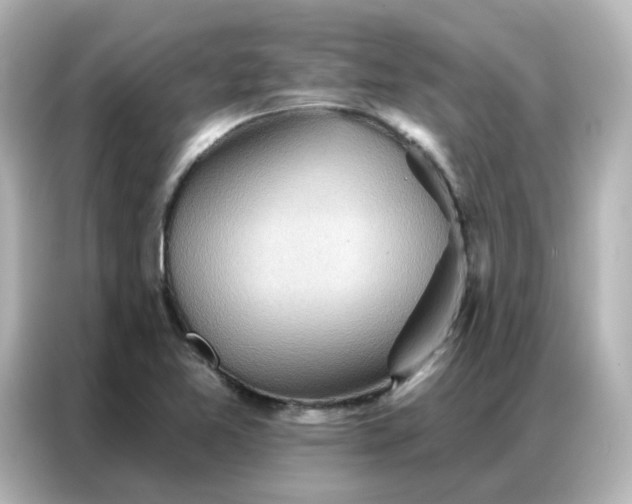 X0000086931365200704301109