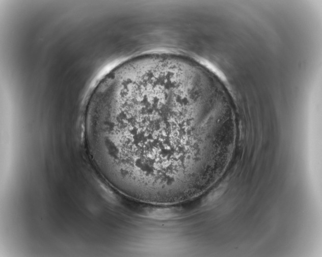 X0000086931367200704301108