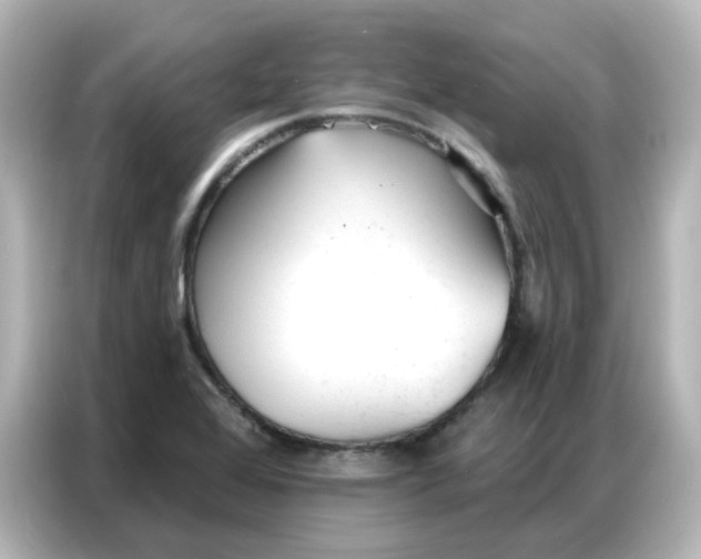 X0000086931368200704301108