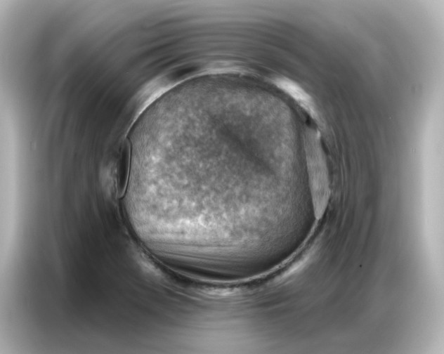 X0000086931369200704301108