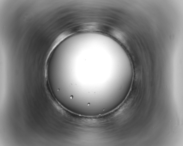 X0000086931370200704301108