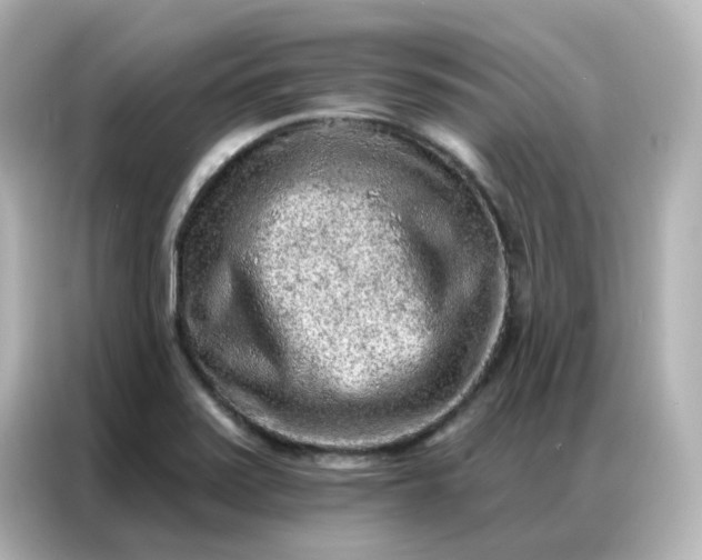 X0000086931371200704301108