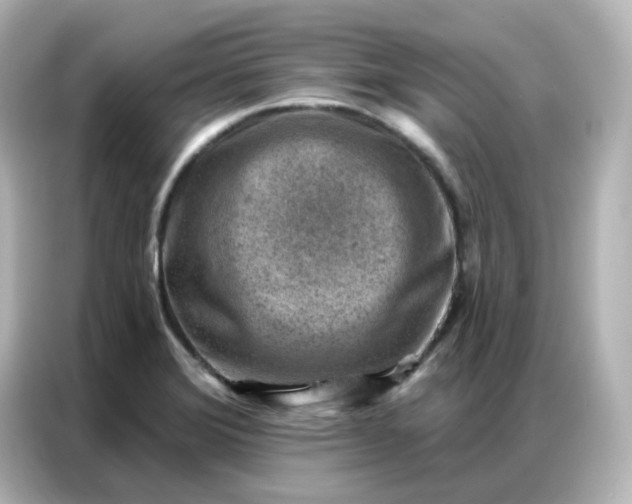 X0000086931372200704301108