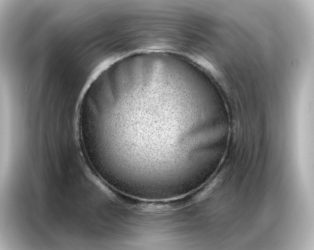 X0000086931374200704301108