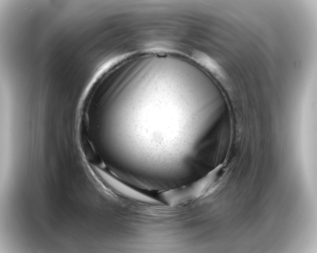 X0000086931376200704301108