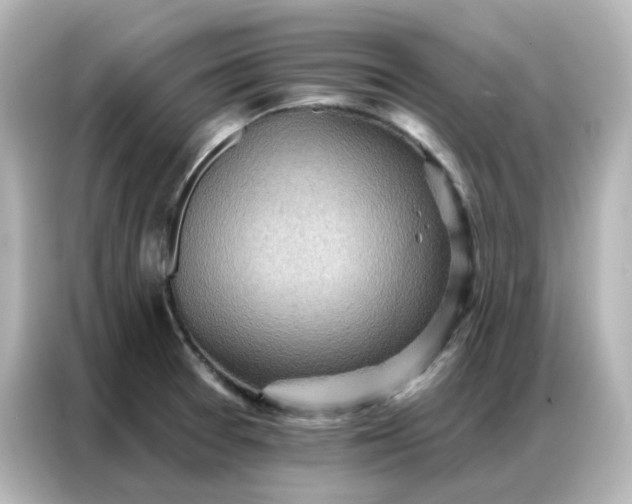 X0000086931377200704301108