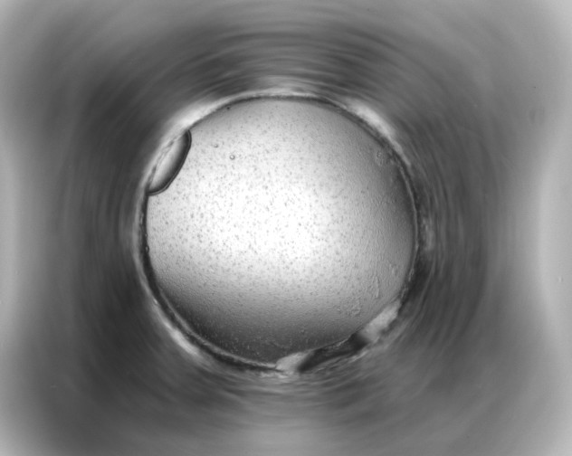 X0000086931379200704301108