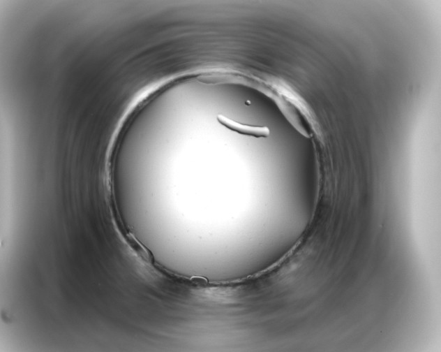 X0000086931380200704301108