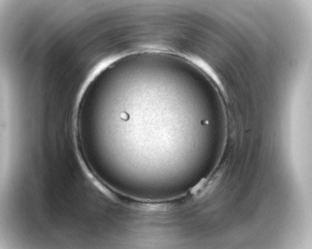 X0000086931381200704301108