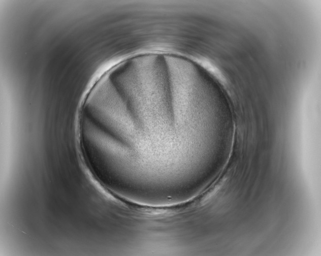 X0000086931382200704301108