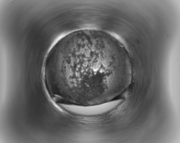 X0000086931383200704301108