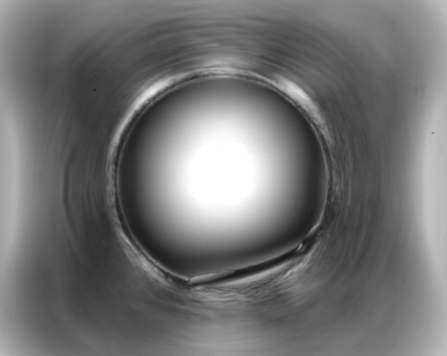 X0000086931384200704301108