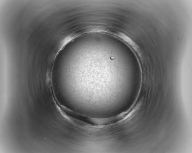 X0000086931385200704301108