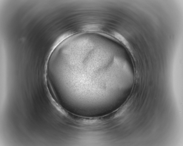 X0000086931386200704301108