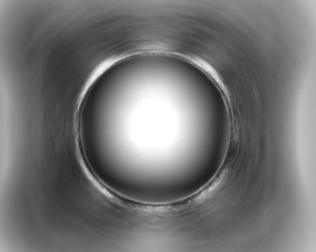 X0000086931389200704301108