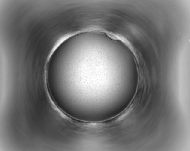 X0000086931390200704301108