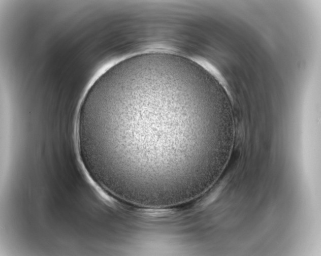 X0000086931391200704301108