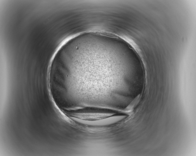 X0000086931392200704301108