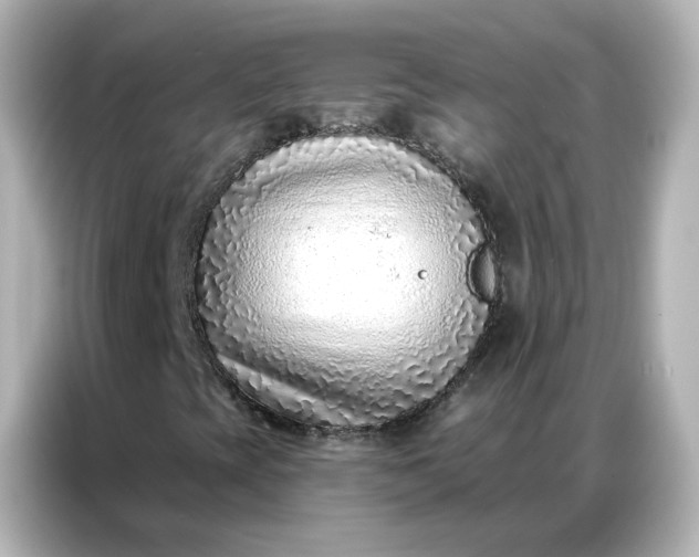 X0000086931393200704301108