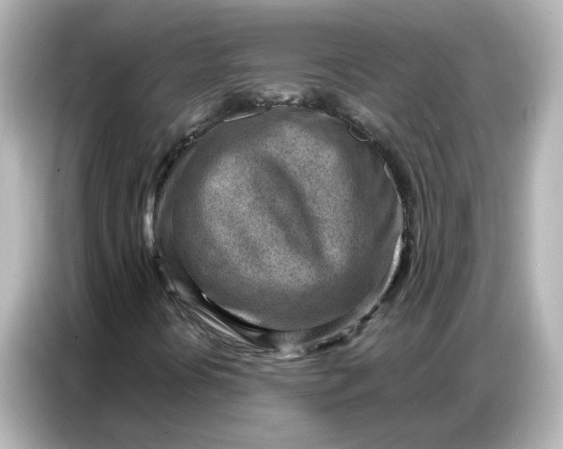 X0000086931394200704301108