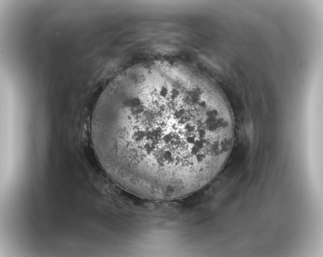 X0000086931397200704301108