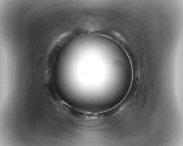 X0000086931398200704301108