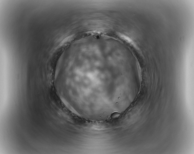 X0000086931399200704301108